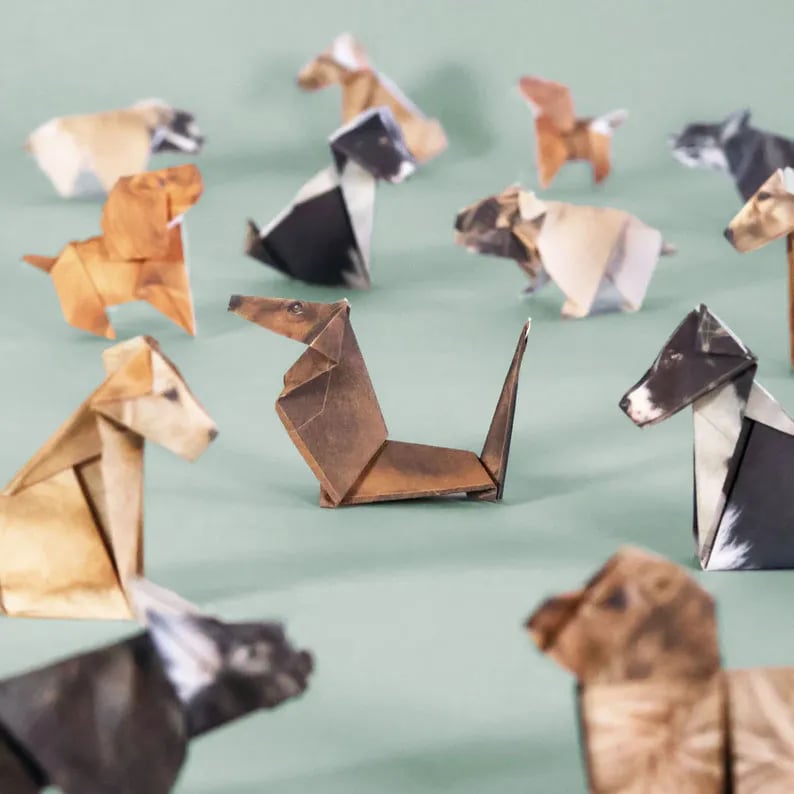 50 Pcs DIY Paper Cats Craft Kit