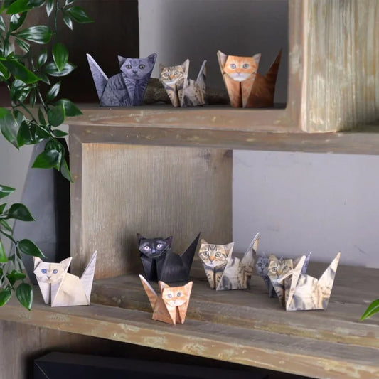 50 Pcs DIY Paper Cats Craft Kit