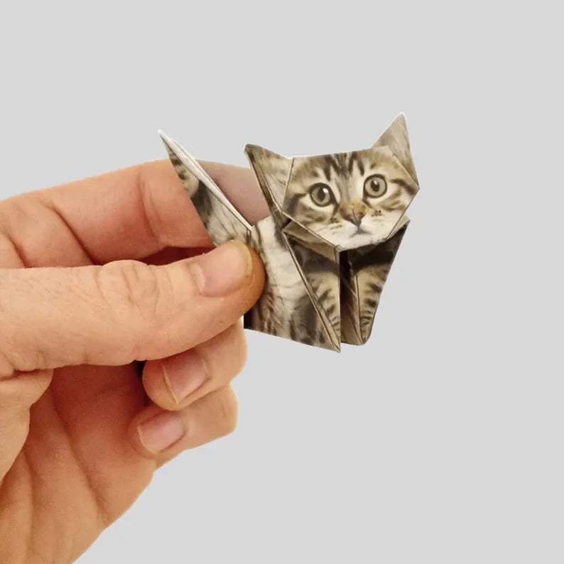 50 Pcs DIY Paper Cats Craft Kit