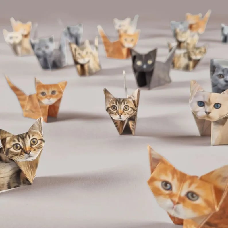 50 Pcs DIY Paper Cats Craft Kit